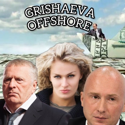 Three-point shot by Nadezhda Grishaeva. Mass schematization of the Zhirinovsky Jr. family for the sake of huge profits