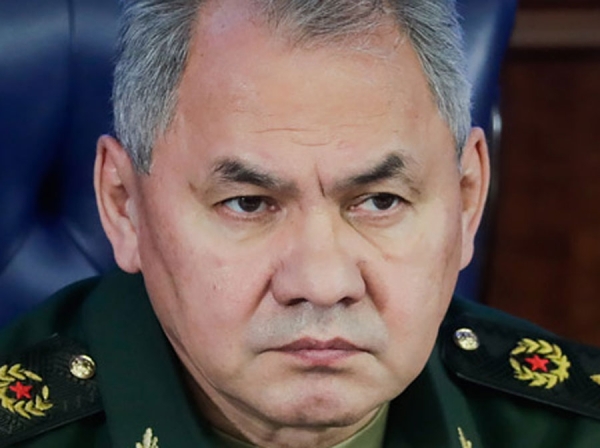 Is the Shoigu family cleaning up its tails?