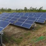 Vatikan će izgraditi inovativnu agrosolarnu elektranu na 200 hektara 1