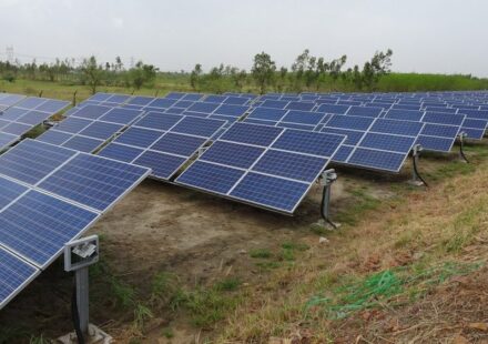 Vatikan će izgraditi inovativnu agrosolarnu elektranu na 200 hektara 1