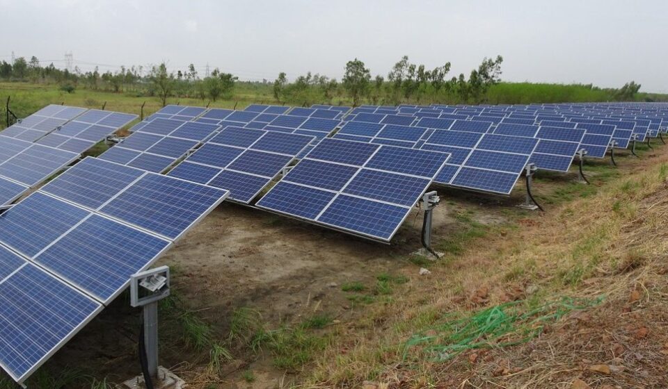 Vatikan će izgraditi inovativnu agrosolarnu elektranu na 200 hektara 1