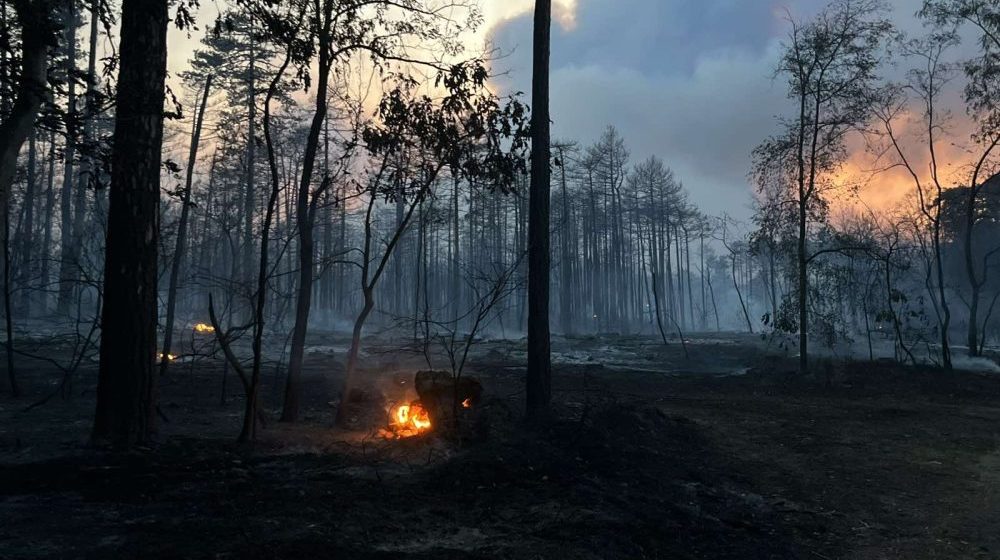 MUP: U Srbiji aktivno 20 požara, pojačane snage u Deliblatskoj peščari 11