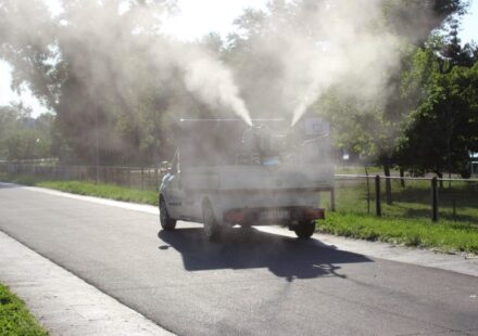 Gradska čistoća sutra rano ujutro prska protiv komaraca na više lokacija 1