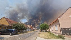 Požar kod Jošaničke banje nakon udara groma 1