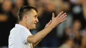 Saša Ilić, FK Partizan