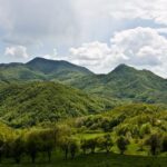 Rudnici i životna sredina: Ekološko udruženje podnelo prijavu zbog istraživanja na Rogozni, inspekcija zaustavila krčenje šume na Homolju 1