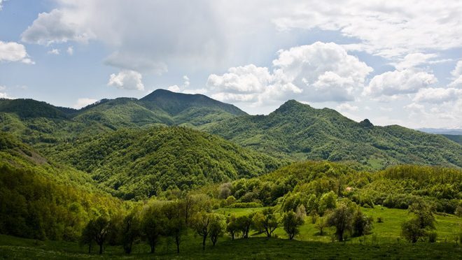 Rudnici i životna sredina: Ekološko udruženje podnelo prijavu zbog istraživanja na Rogozni, inspekcija zaustavila krčenje šume na Homolju 1