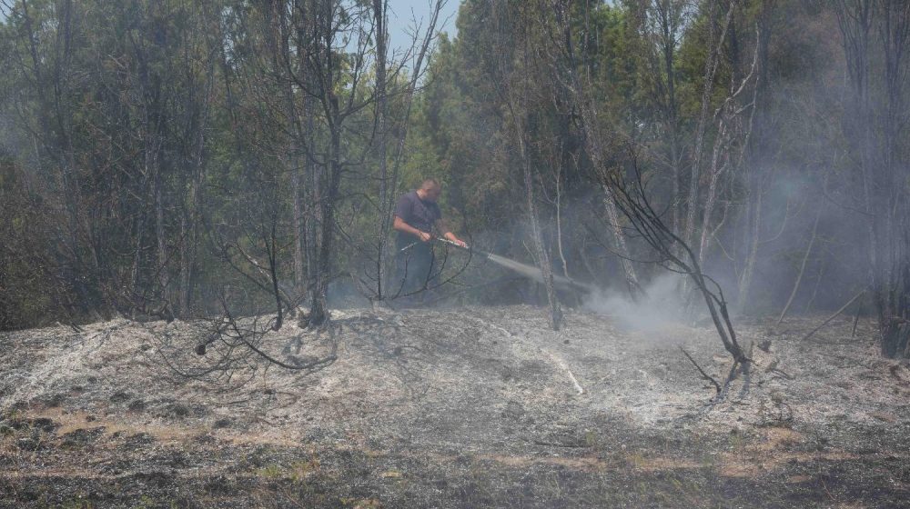 RHMZ: Danas i sutra u Deliblatskoj peščari meteorološki uslovi veoma nepovolјni 15