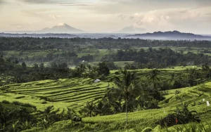 Indonezija: 2.000 ljudi se otrovalo hranom podeljenom u okviru programa Vlade 1