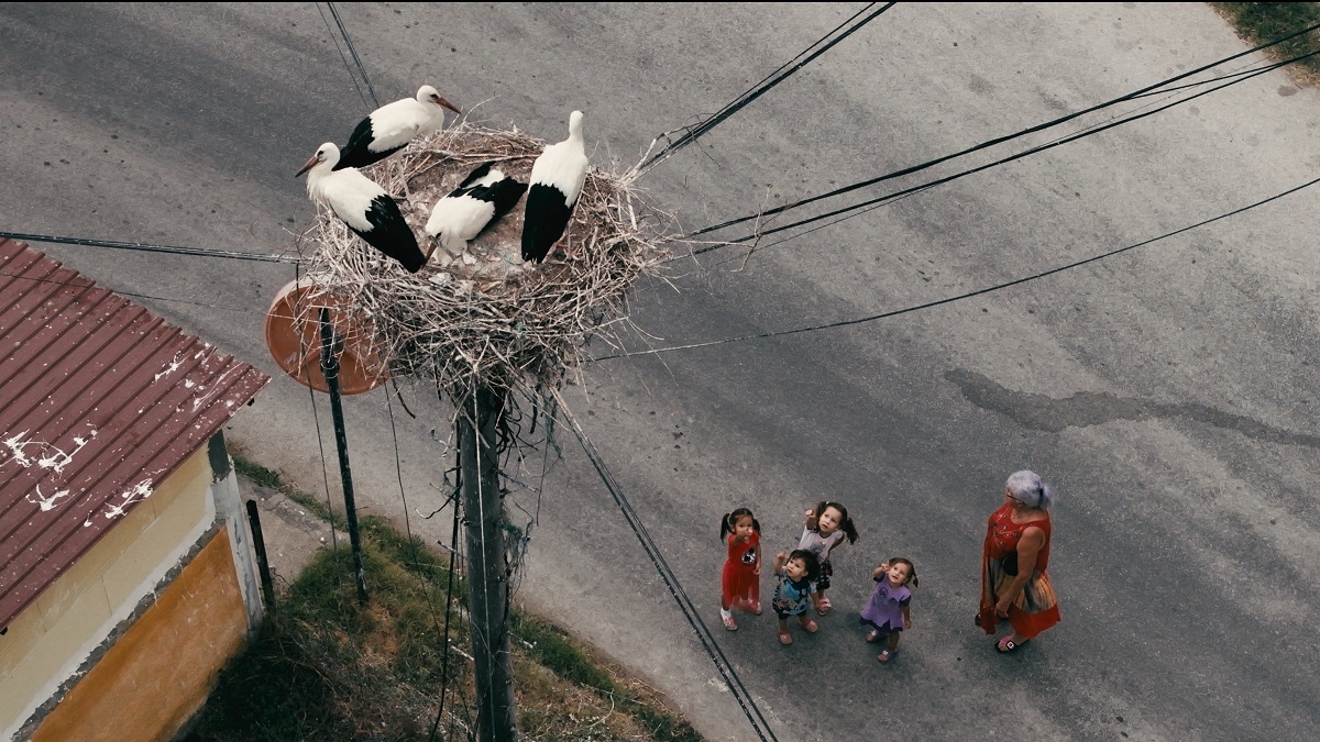 Srpska premijera filma „Priča o Silijanu“ Tamare Kotevske otvara 72/73. Martovski festival 2