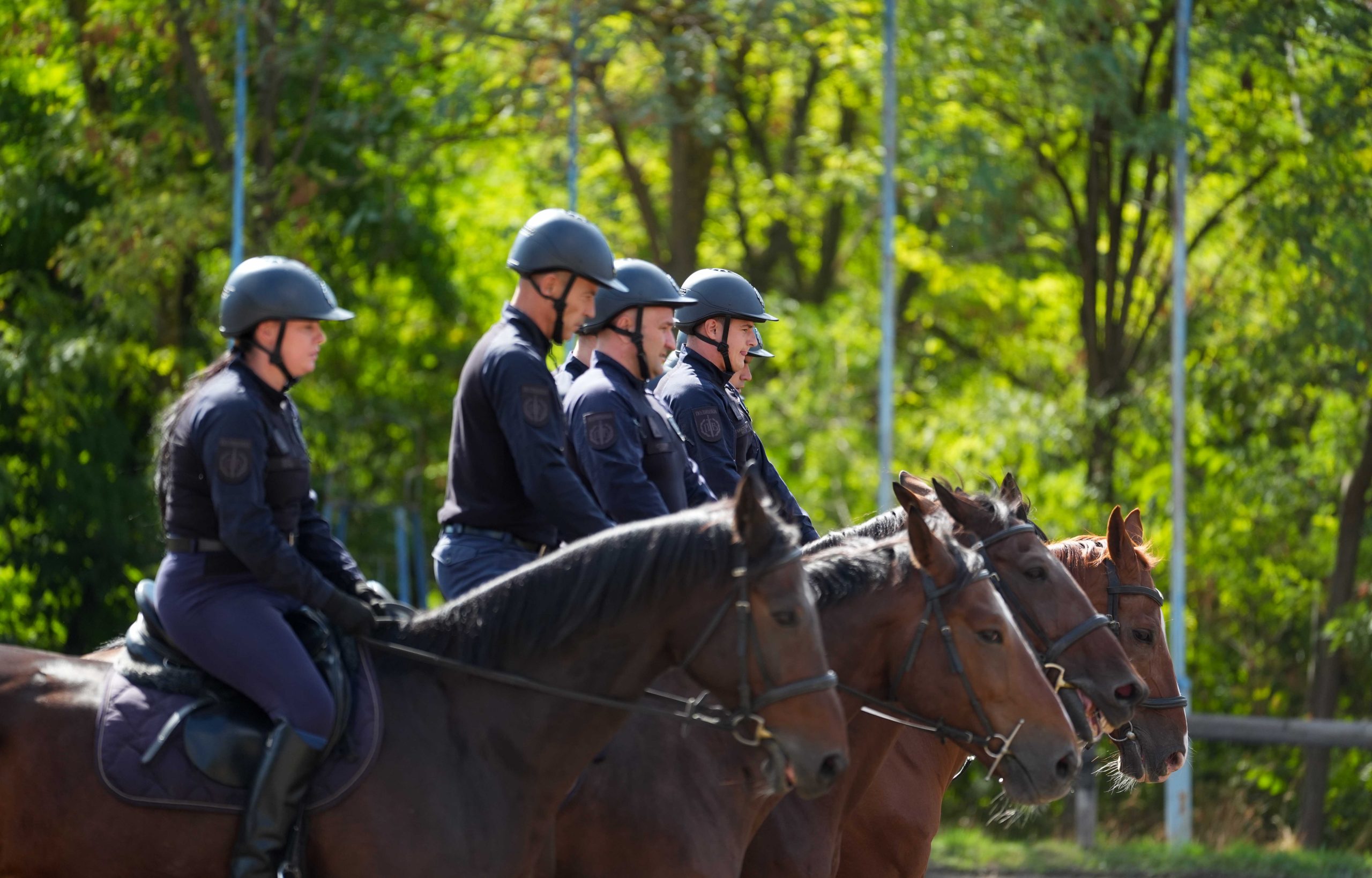 Dačić: Konjanici MUP-a treba da budu vidljiviji na ulicama Beograda, da ih građani upoznaju (FOTO) 3 Dačić: Konjanici MUP-a treba da budu vidljiviji na ulicama Beograda, da ih građani upoznaju (FOTO) 3