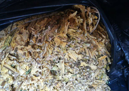 Policija oduzela Vranjancu 160 kilograma duvana 1