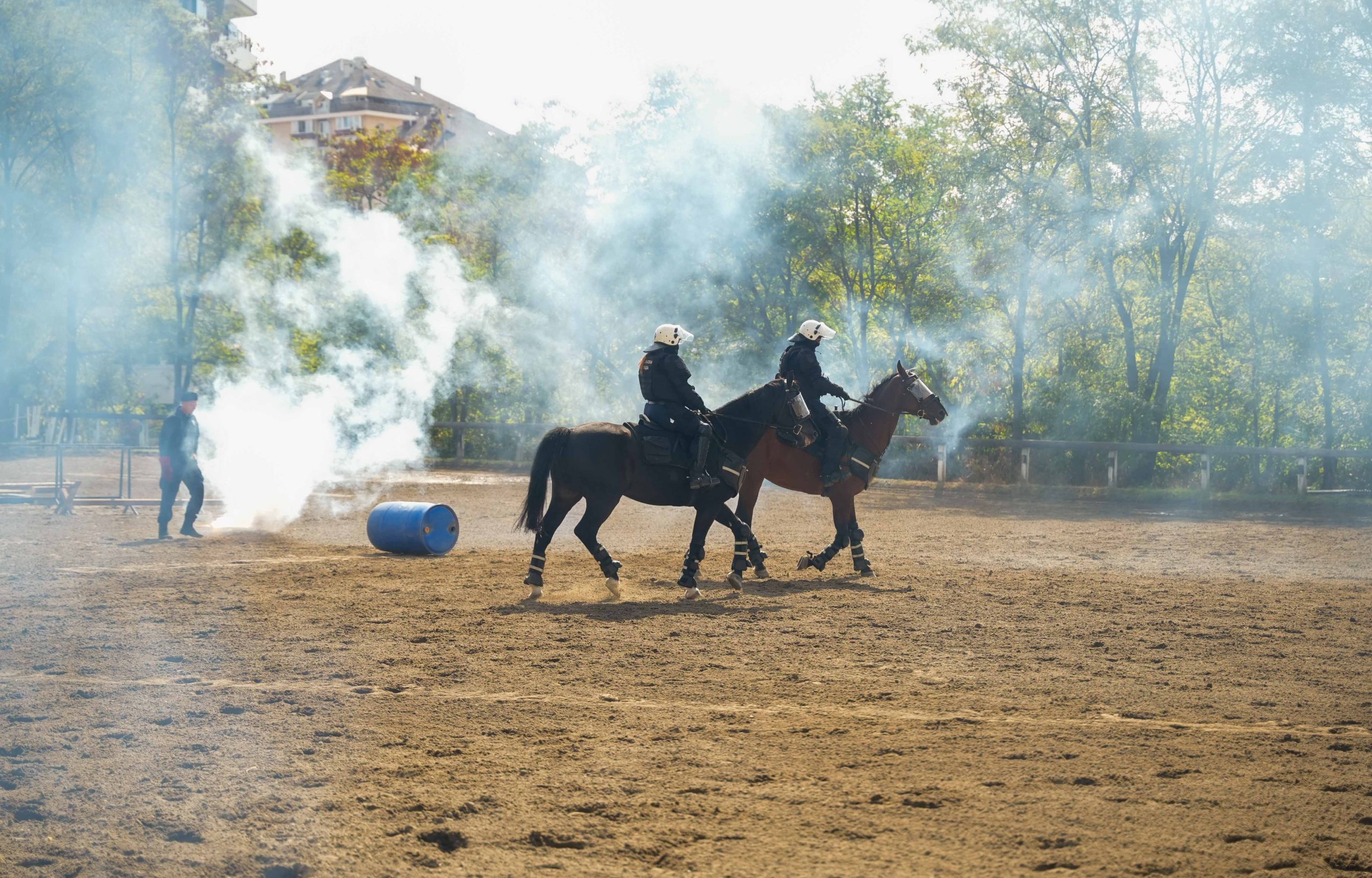 Dačić: Konjanici MUP-a treba da budu vidljiviji na ulicama Beograda, da ih građani upoznaju (FOTO) 2 Dačić: Konjanici MUP-a treba da budu vidljiviji na ulicama Beograda, da ih građani upoznaju (FOTO) 2
