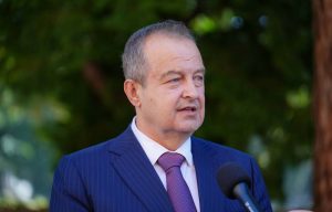 Dačić: Lokalizovan požar u Deliblatskoj peščari 1