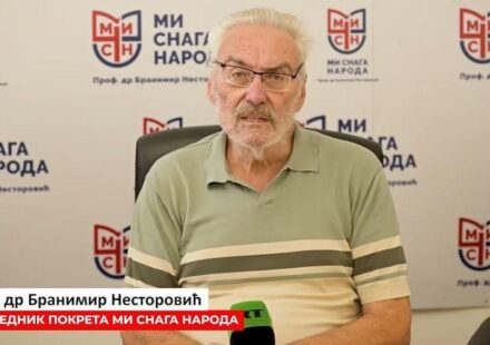branimir nestorović