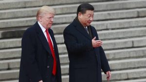 Dve džinovske pande upućene iz Kine za SAD posle samita Si Đinping - Donald Tramp 1