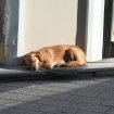 Vreme danas pretežno sunčano i toplo 12