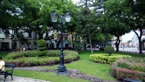 Na "prvom zelenom zidu" u Subotici biljke se osušile, obnova nije planirana za ovu godinu 1