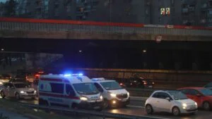 Palo drvo na Košutnjaku, nekoliko izletnika povređeno 1