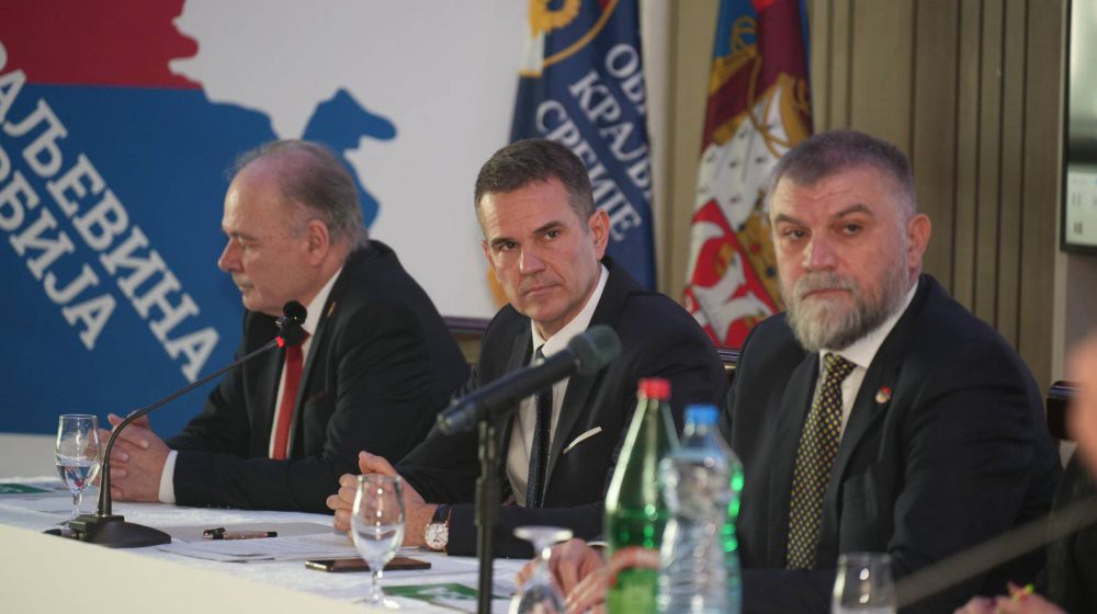 Monarhisti na izbore idu sa Novim DSS 11