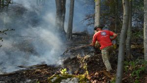 Požar na Suvoj planini traje i dalje, vatra se spušta niz planinske litice 1