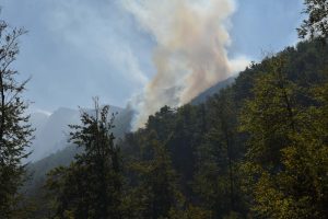 Požar u Liparu blizu Jagodine pod kontrolom, gorelo oko 20 hektara trave i rastinja 1