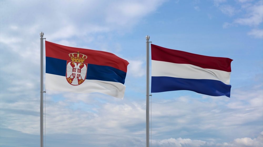 Srpska dijaspora u Holandiji traži dodatna biračka mesta, bunili se i kod tamošnjeg ministra spoljnih poslova 11