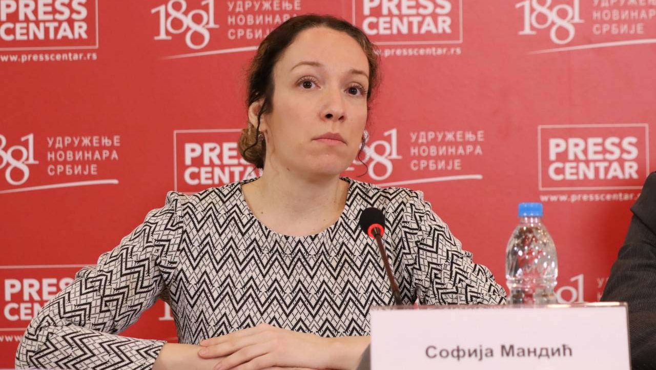 “Na Ministarstvu spoljnih poslova je najveća odgovornost”: Šta se dešava sa prijavama za glasanje u inostranstvu? 3