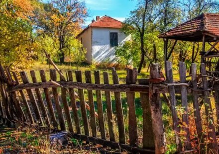 Vlada Srbije: Izmenjana Uredba o dodeli bespovratne pomoći majkama za kupovinu seoske kuće 1