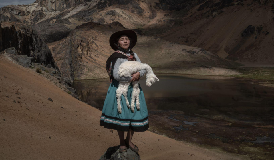 World Press Photo