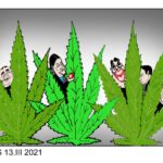 Corax za 20. oktobar 2026. /Iz arhive Danasa/ 1