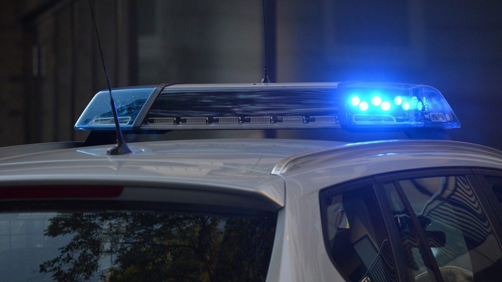 "Gori nekontrolisano": Izbio požar kod Metkovića u Hrvatskoj 1
