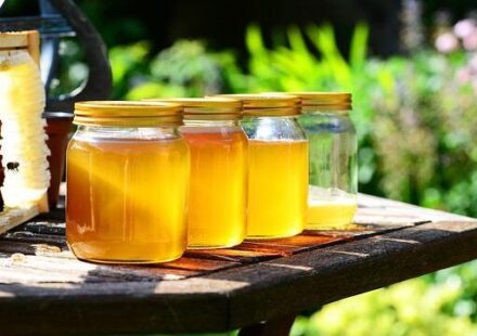Kako je došlo do pustošenja laboratorije Ana Lab u Pančevu kada se spremao uvoz ogromnih količina falsifikovanog, jeftinog meda 1