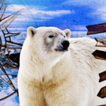 Polarni medved pored drvenih greda i slike kompasa