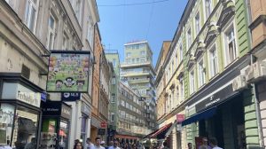 Konzul Vujić rekao koliko je birača prijavljeno u BiH za glasanje na izborima u Srbiji 1