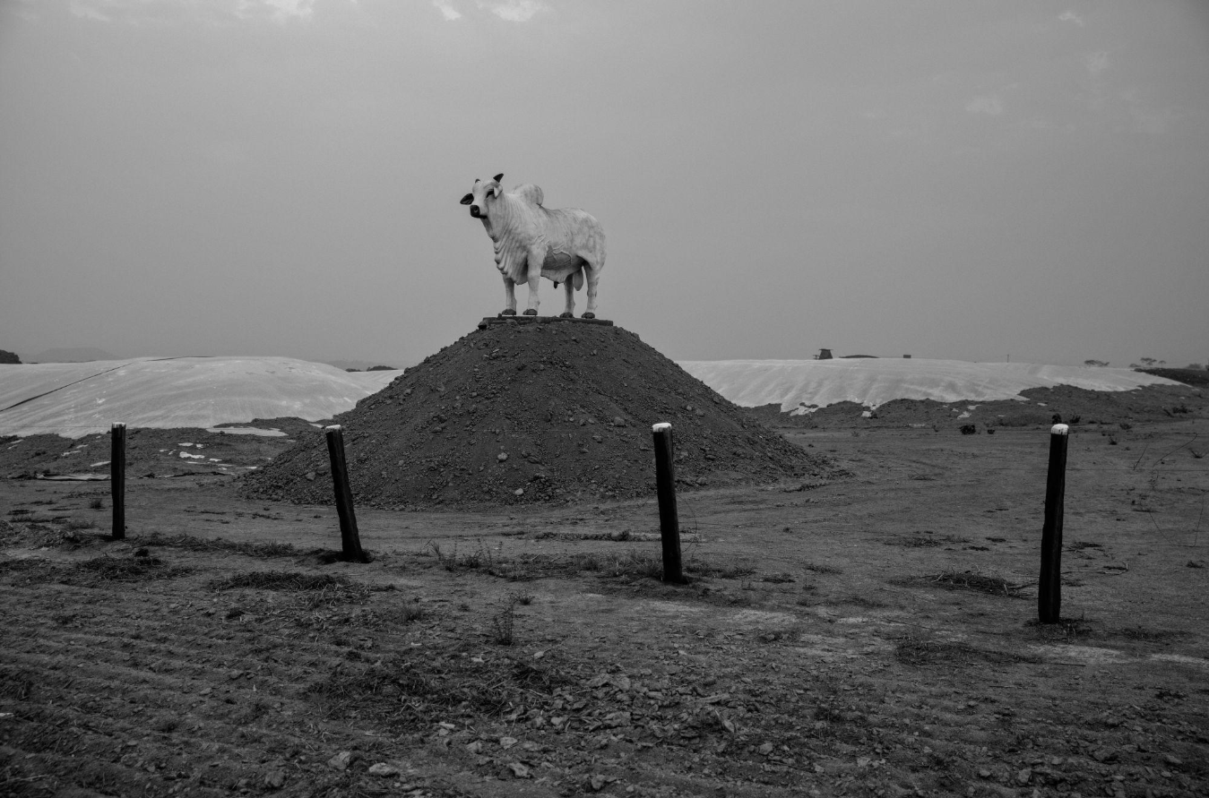 world press photo 