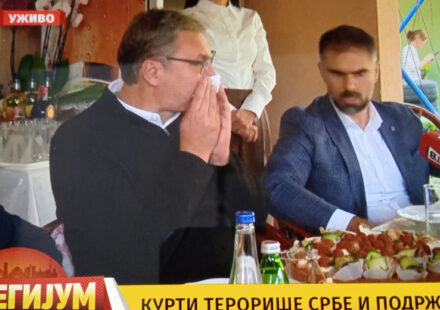 Da li Vučić tvrdnjama da zidine Niške tvrđave za vreme skupa SNS "nisu gorele", već su takve slike "veštačka inteligencija" ometa rasvetljavanje krivičnog dela? 1