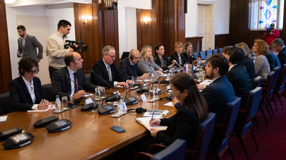 Ana Brnabić se sastala sa posmatračima izbora iz PS SE 10